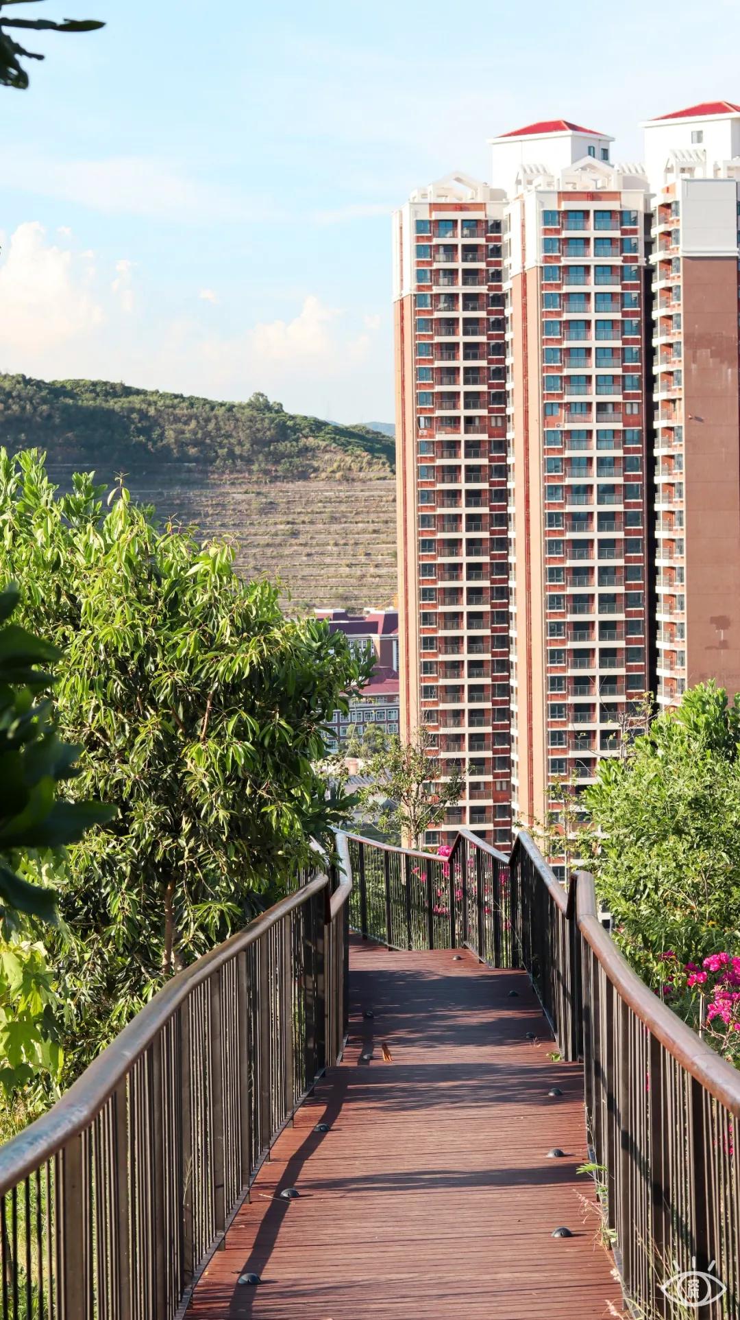 深圳西丽玻璃栈道,深圳海滨栈道重头开放