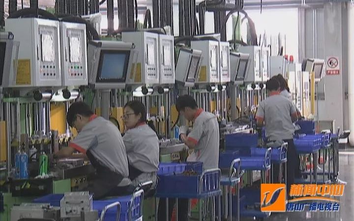 冀东发展集团简介,冀东发展集团组织架构