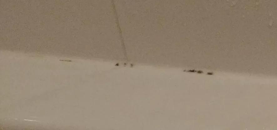 南方潮湿霉菌怎么杀灭,家里被子怎么消除霉菌