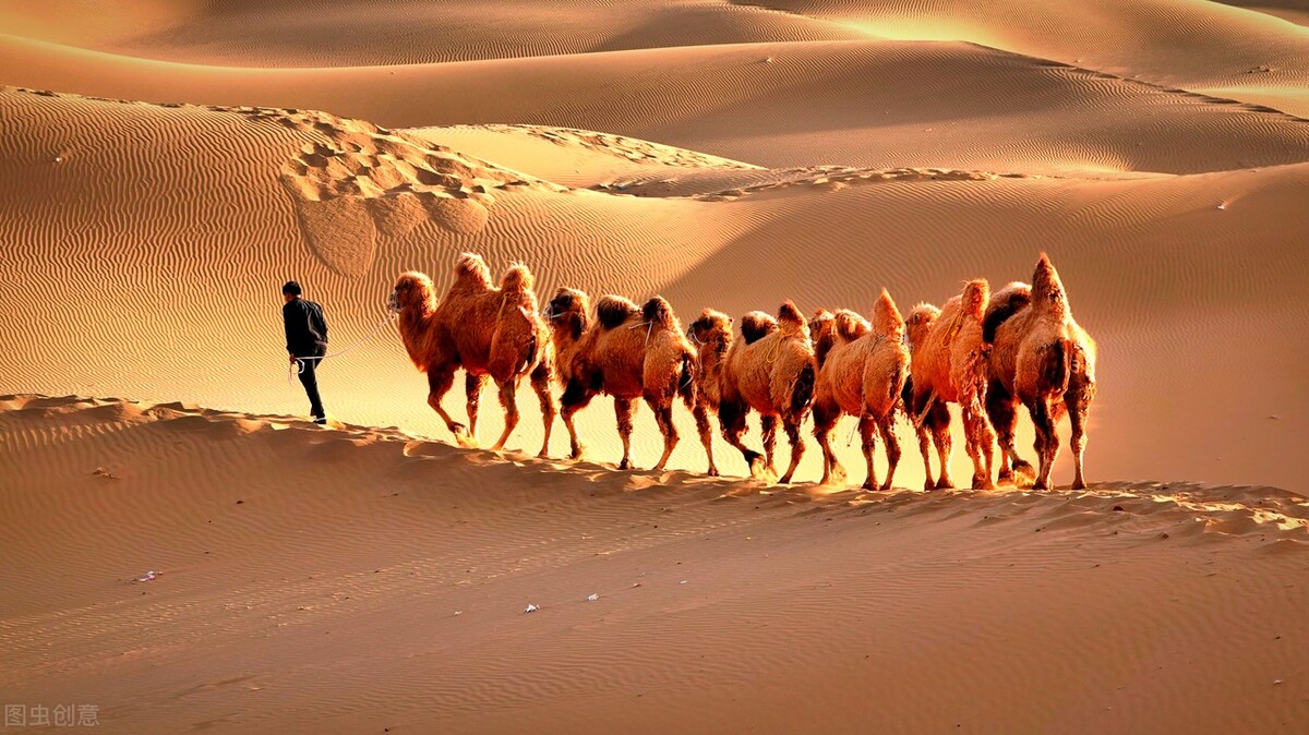 最大沙漠治理情况塔克拉玛干,假如中国的沙漠全部消失