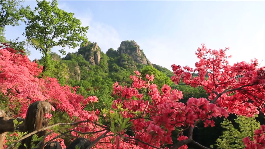 西泰山的特点是什么,西泰山为啥叫西泰山