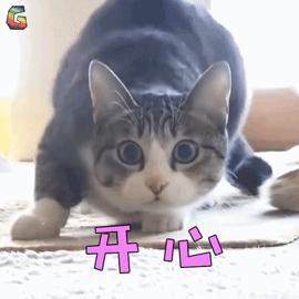 宠物吃生骨肉没有寄生虫么,宠物寄生虫对身体有害吗