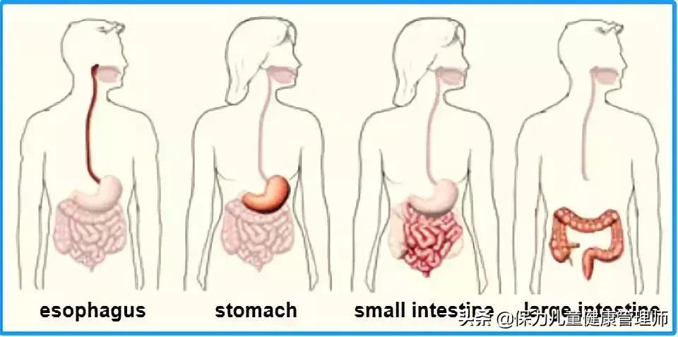 结肠癌知识普及,结肠癌肿瘤10公分严重吗