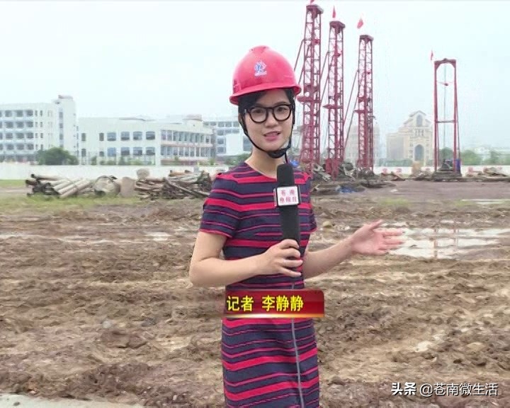 苍南仪表集团科技园,苍南仪表厂简介