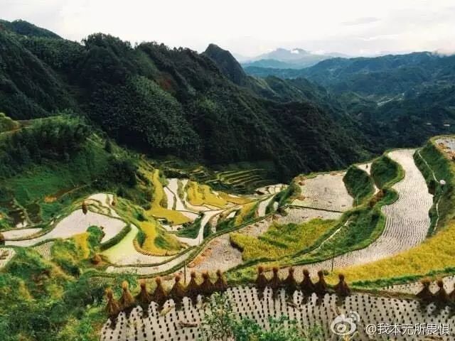 2020最强“广西大全”来了！承包柳州人一整年的旅行