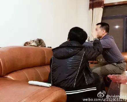 冲动下养猫，你和你的猫现在是怎样的生活？