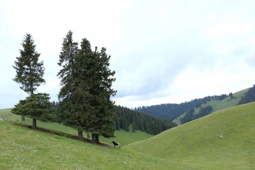 喀拉峻穿越琼库什台几天,喀拉峻穿越琼库什台