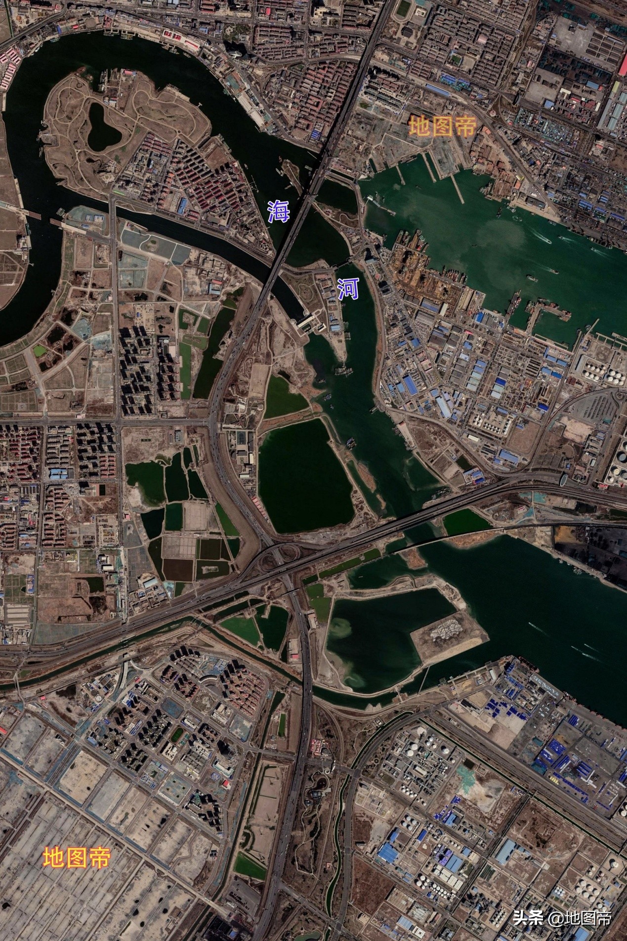 天津人口怎么样了,天津人口为什么这么多东北人