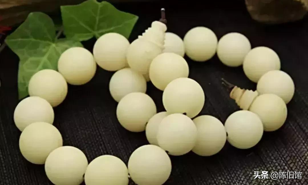 最值得玩的菩提子,真正的菩提子
