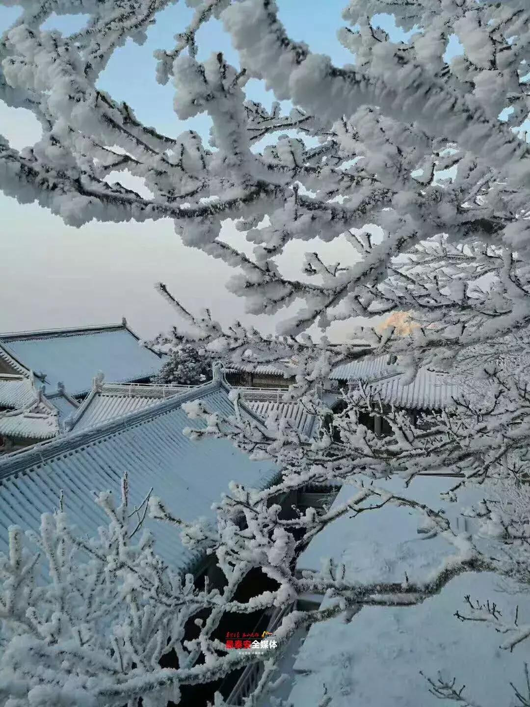 此刻泰山成了雪国，美到无言！高清美图来袭，“雪国的列车”即刻发车！