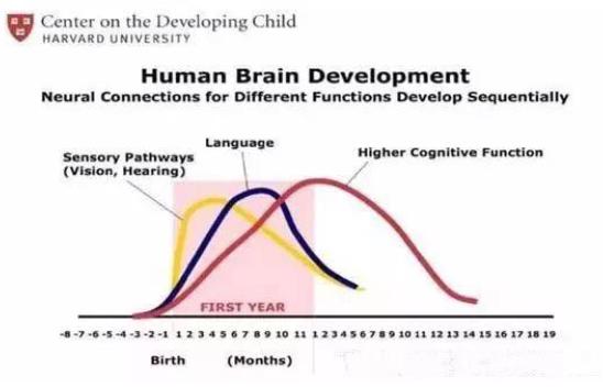 李玫瑾讲小孩聪明不一定会读书,李玫瑾说孩子胆小聪明