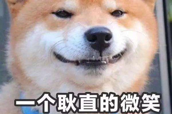 窦靖童代言苹果,窦靖童代言pico