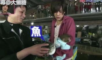 日本秃头猴子吃鱼10个月生发成功，脱发网友求购买链接