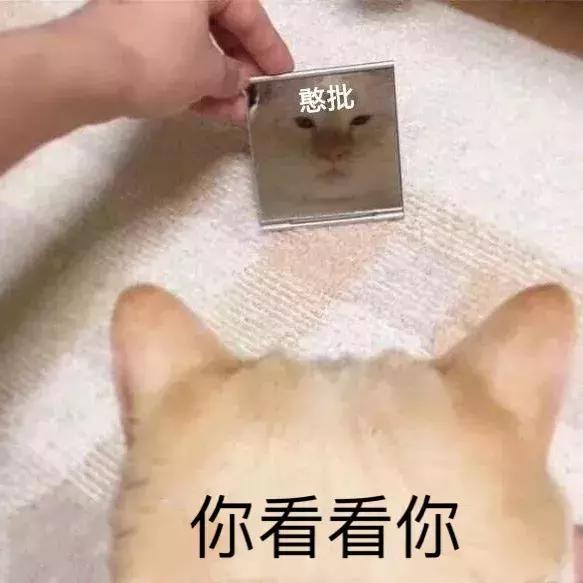 原来淘宝9.9包邮的地摊货和2000+的品牌货都出自同一家批发市场