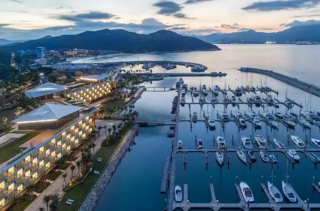 发现深圳红树林之美,发现小众风景点