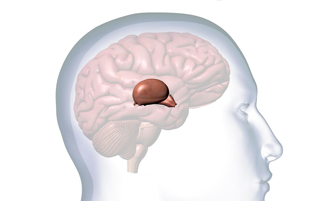 松果体瘤手术后视力降落能恢复吗,松果体囊肿影响的视力能恢复吗