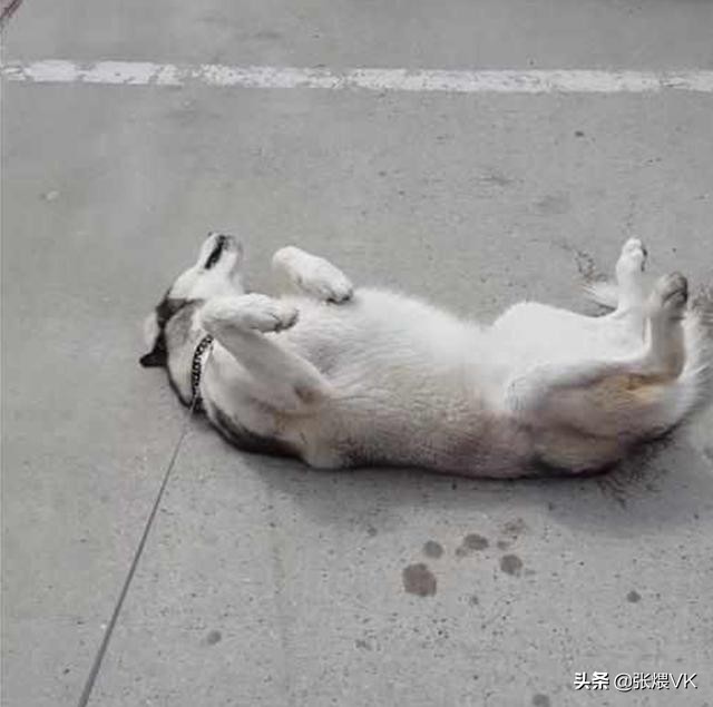 身为当代青年的我，依然不敢骑自行车上路