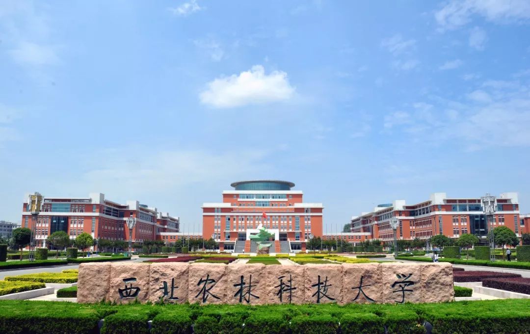 2022陕西大学专业排名一览表,陕西2023年院校专业解读