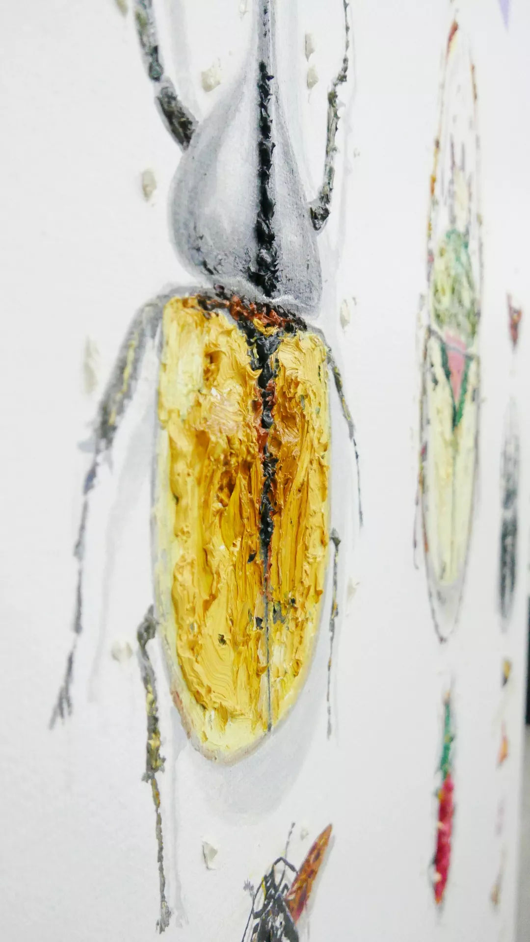 阿根廷伊瓜苏瀑布张国荣,张国荣在阿根廷