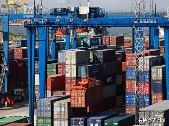 搬起石头砸自己的脚？越南暂停向中国出口大米，自己却损失惨重