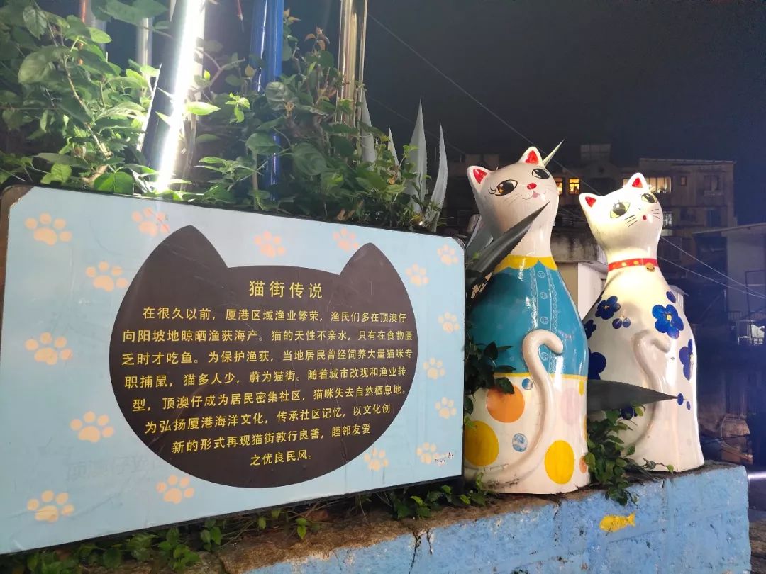 九分钟带您了解鼓浪屿攻略,游玩鼓浪屿攻略路线推荐