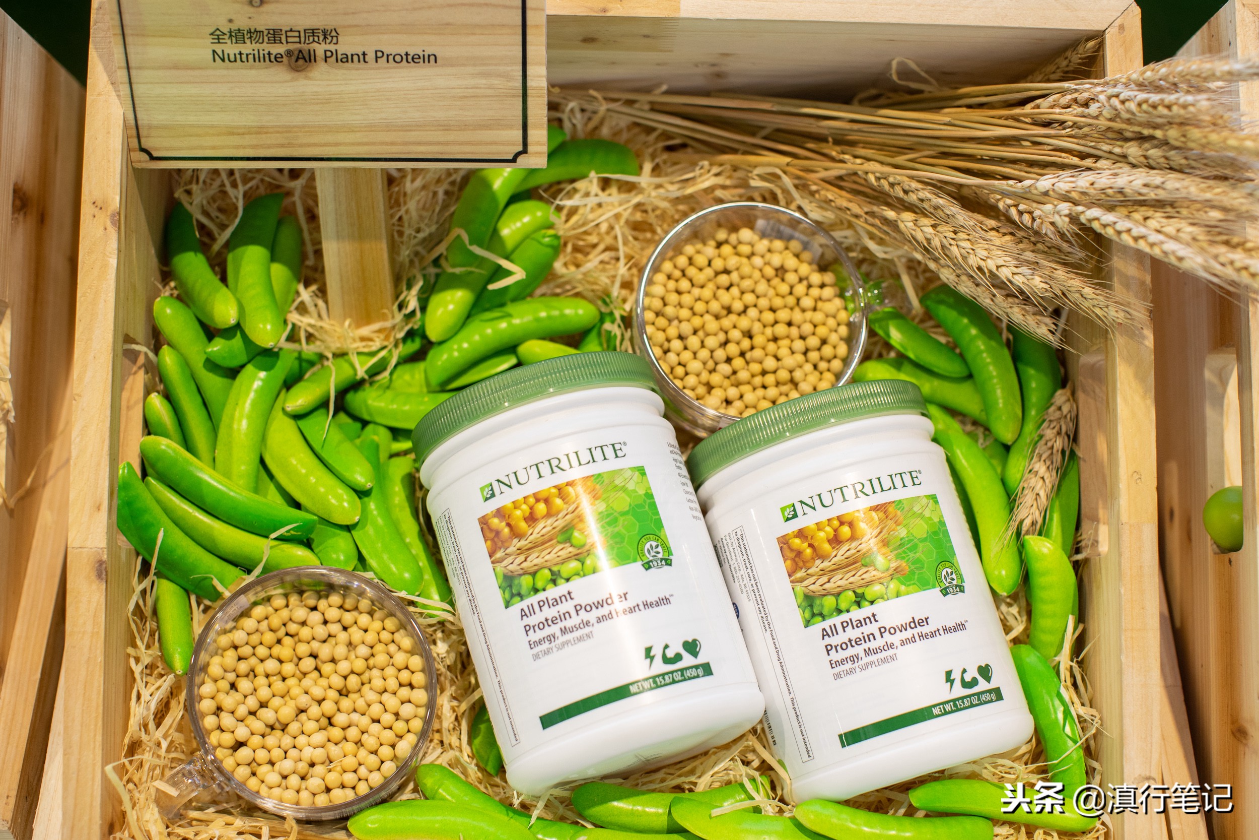 美国安利最新产品,美国原装进口安利