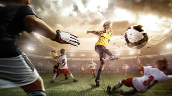 太极拳和竞技体育有冲突吗,太极拳与传统文化