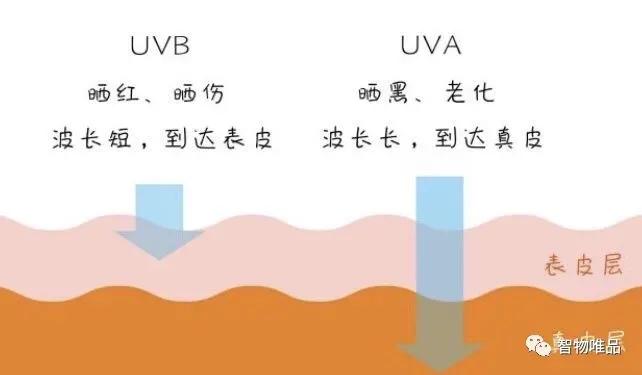 烈日当空防晒小妙招,学生防晒小用品