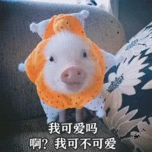 打击“穿山甲”lo娘没错！但作就是你的问题了