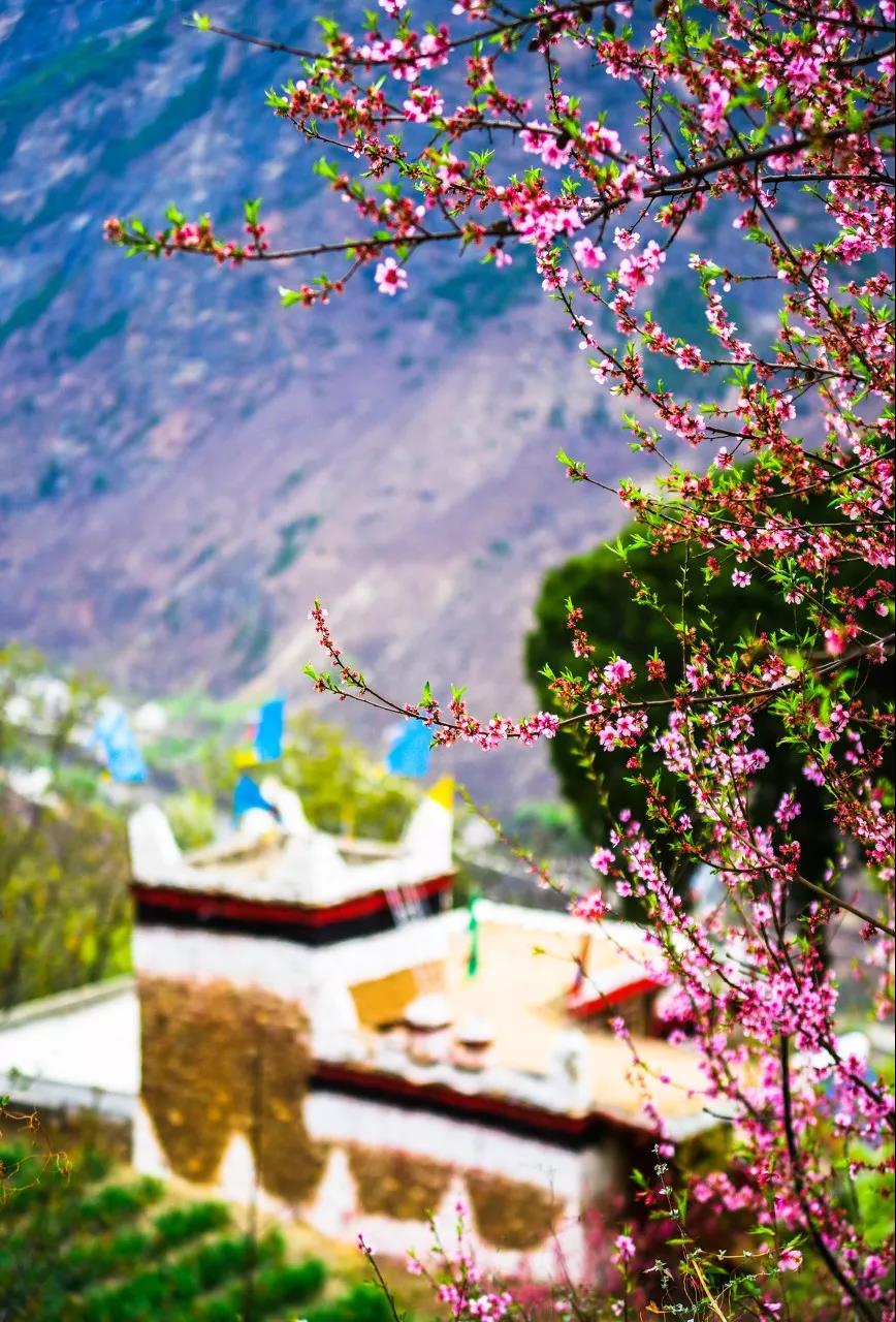 一个被上帝偏爱的地方,一个被上帝遗弃的城市