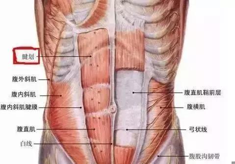 腹肌歪了练哪边,腹肌歪的还不整齐
