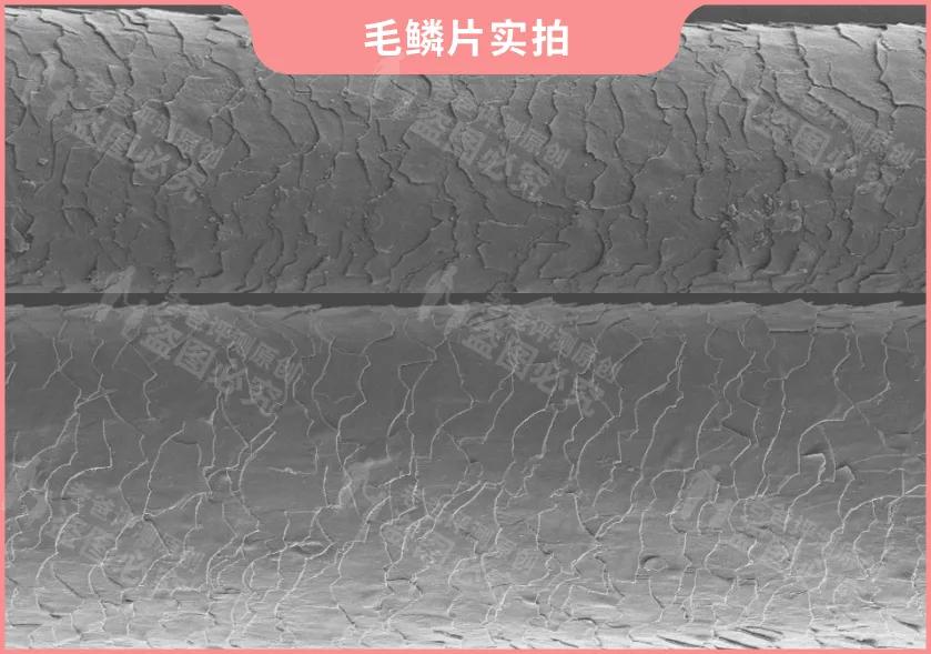 评测了9款护发精油,护发精油最新测评