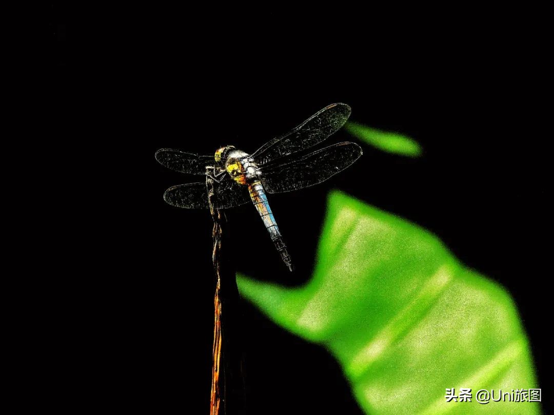 最幽静古韵江南唯美夜景风景,带你看夏日高原怡人的风景