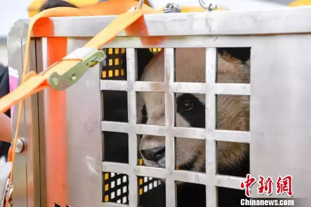 新增17种抗癌药报销比例是多少,山东省抗癌药的报销比例是多少