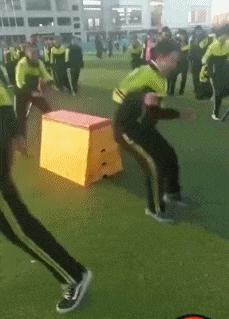 这只鹦鹉一直以为他是一只猴，所以每天都在重复做这个动作