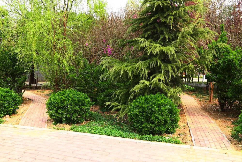 新学期有哪些新变化,许昌职业技术学院新学期工作