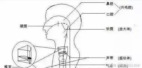 唱歌破音怎么办试试这4个技巧,唱歌容易破音怎么练习
