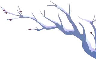 抚顺热高三个园攻略,抚顺热高丛林乐园游玩项目