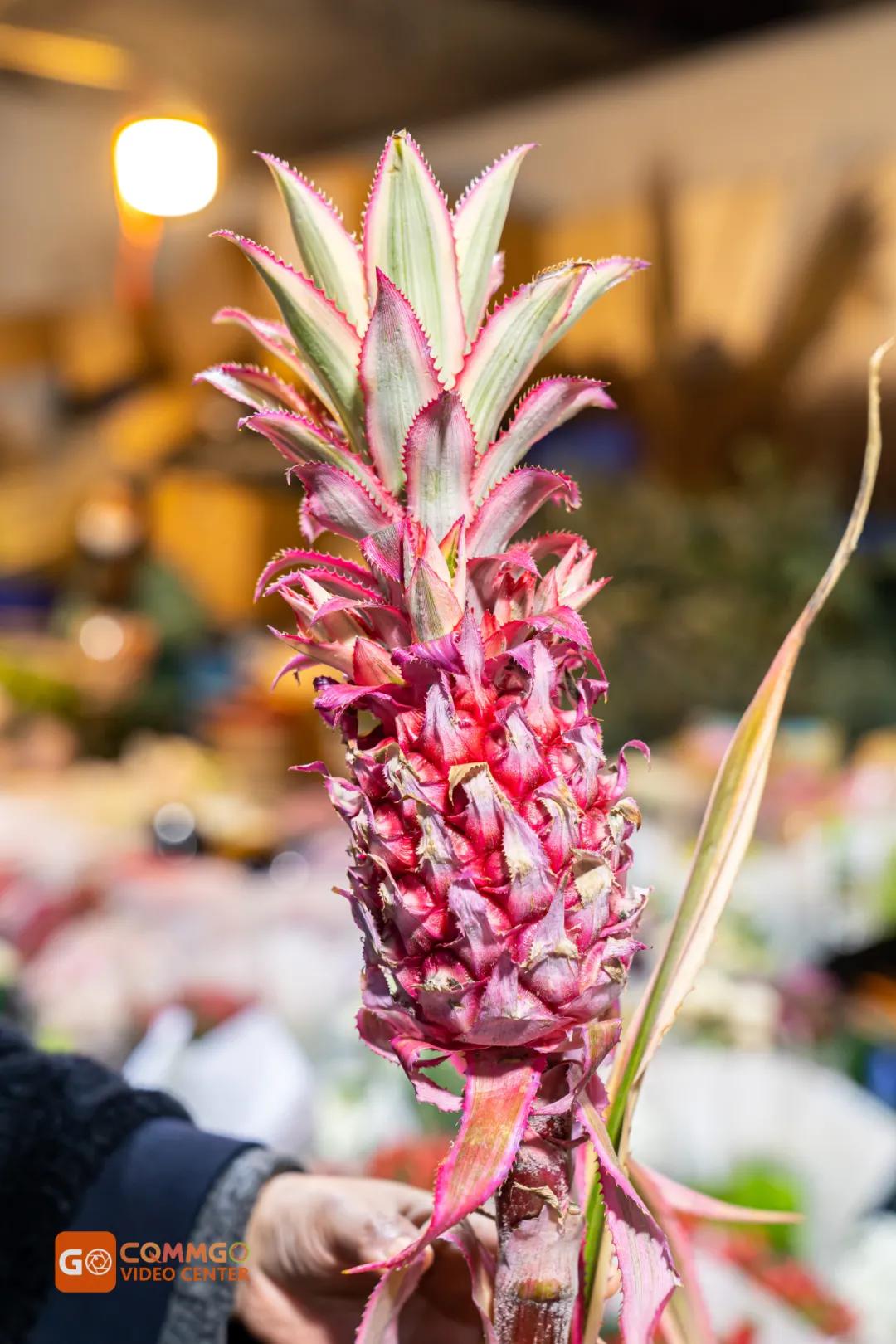 重庆花市排名前十名,重庆花市哪里最便宜