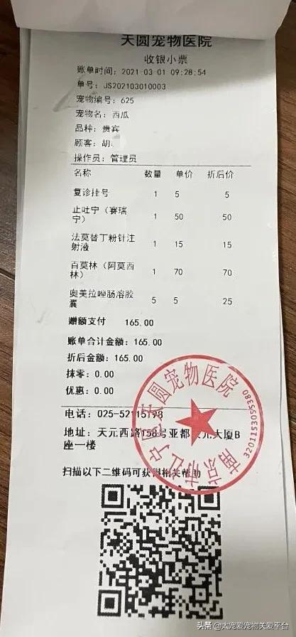 十二指肠溃疡丨太宠爱理赔案例南京天圆宠物医院