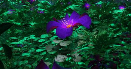 北京有哪些著名的电影院,北京最老的电影院