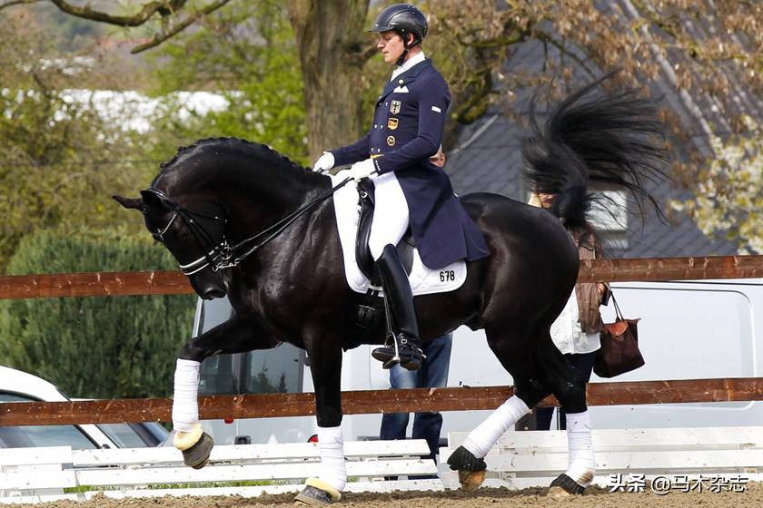 上马前你不得不知道的马术知识,上马前必备的马术知识