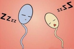 从精子质量可以看出肾的好坏吗,高质量男性精子态势