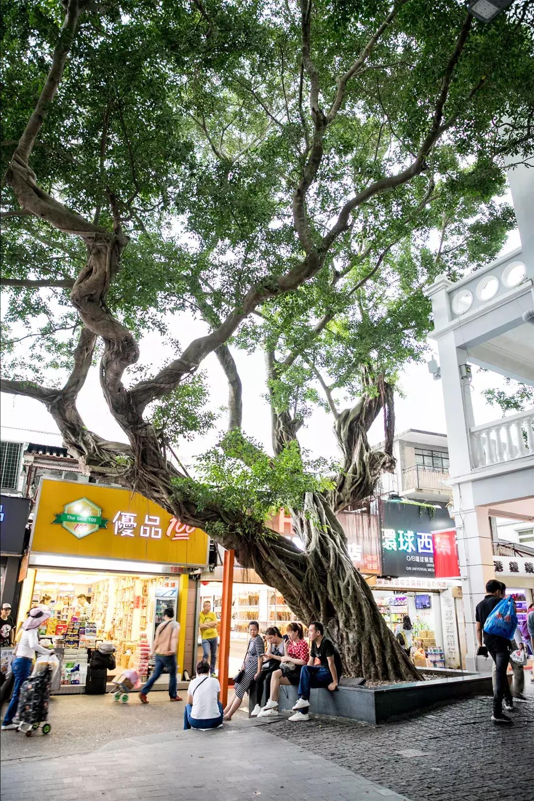 中英街深圳小香港,中英街深圳香港