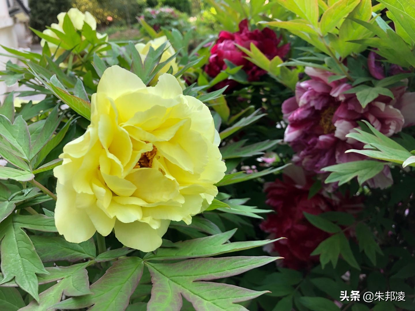 比什么都别和中信国安比有钱？如今负债1558亿，让债主别*债追**