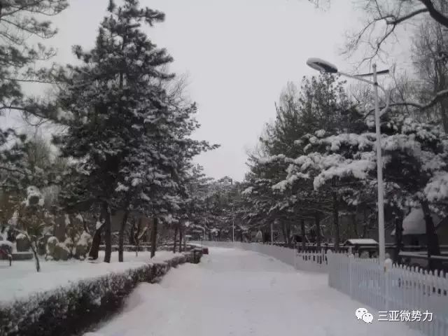 在三亚的奢侈生活,生活在三亚有多幸福