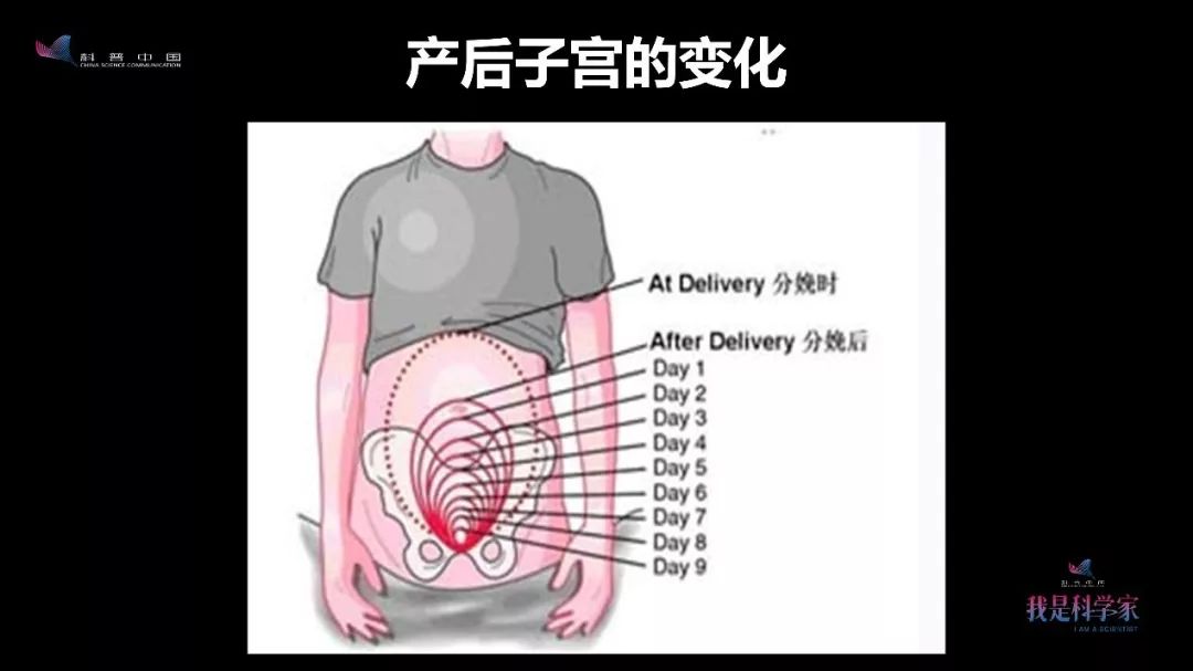 怎么度过孕期有助于顺产,如何顺利度过产褥期