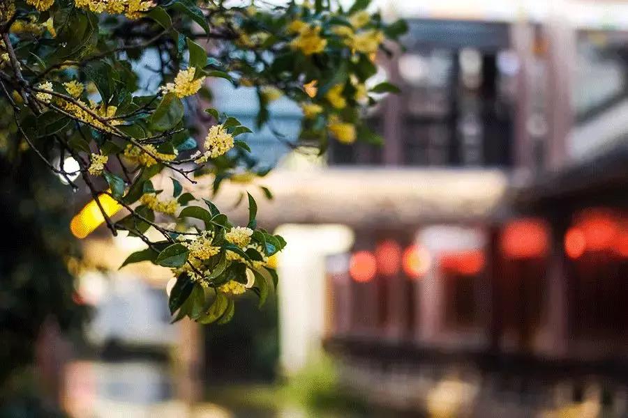 治家格言简短一句话,治家格言很有道理