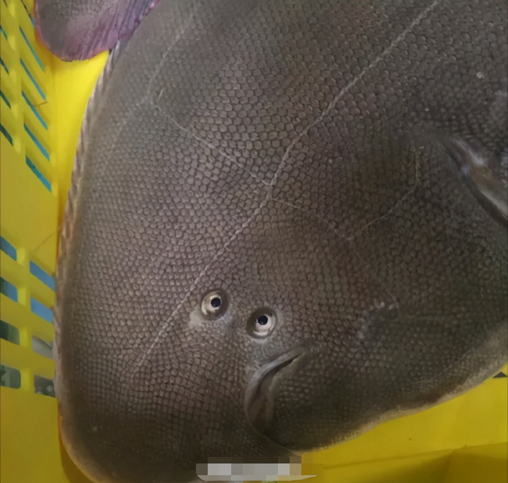 “你们女孩子脱完鞋都这样的嘛？”哈哈哈没想到拖鞋也是一门技术