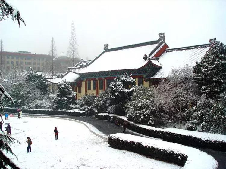 女排11连胜新闻联播,南师大排球比赛直播回放